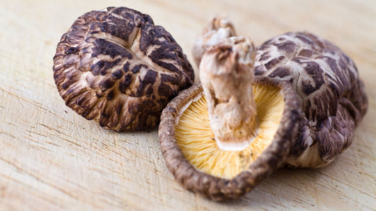 Benefits of Mushroom Skin Care Products