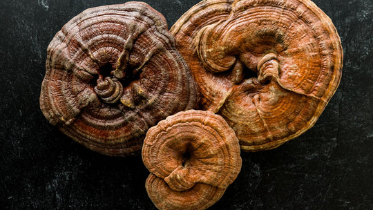 mushroom benefits for skin