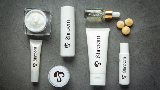 mushroom for skincare