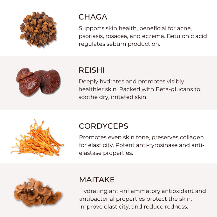 Chaga for Eczema And Psoriasis: Addressing Skin Inflammation from the Inside